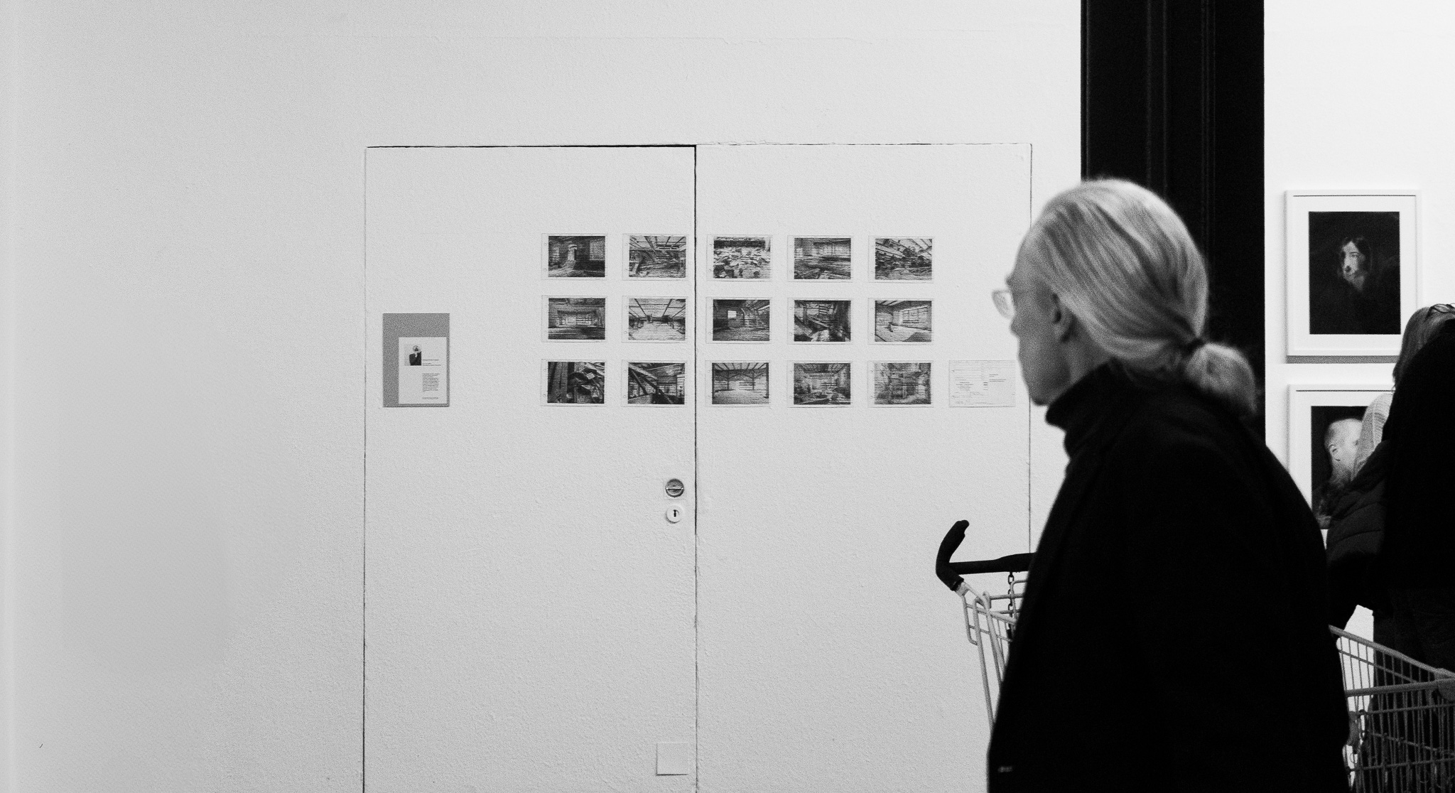 Porphyry plant texture close-up